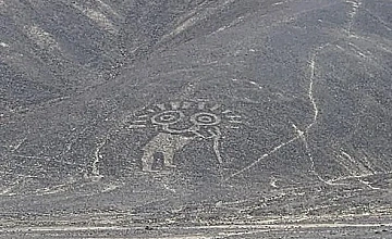 Lima – Paracas – Sobrevuelo Líneas de Nasca desde Aeródromo de Pisco – Paracas (Desayuno y Almuerzo)