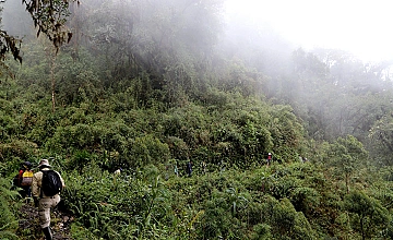 Cusco – Paucartambo – Bosque Nublado – Pilcopata (Desayuno y Almuerzo)