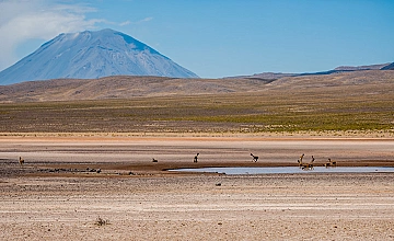 Arequipa – Chivay (Desayuno y Almuerzo)