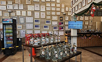 Paracas, Viñedo Tacama y Oasis de Huacachina