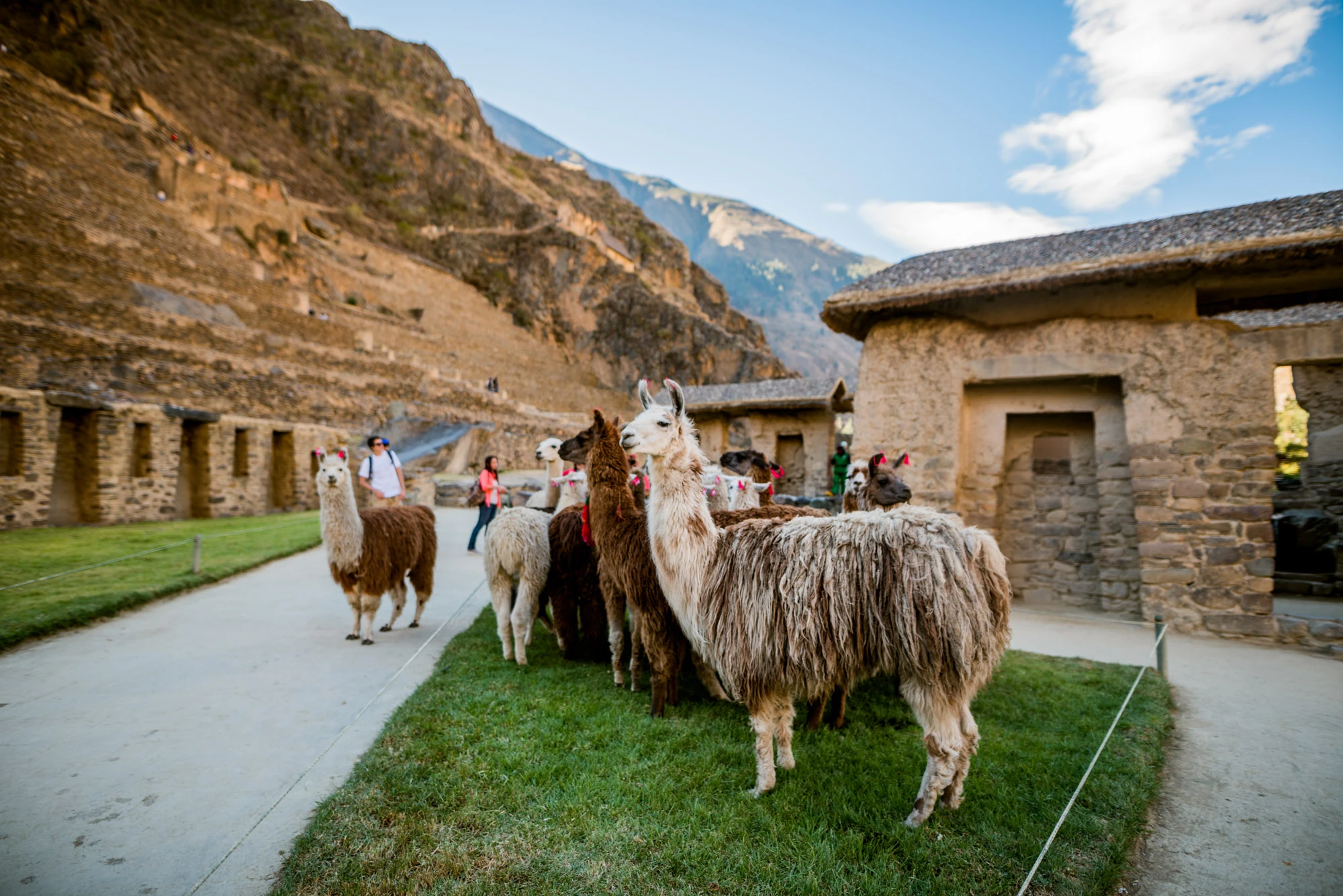 Disfrutando Machupicchu